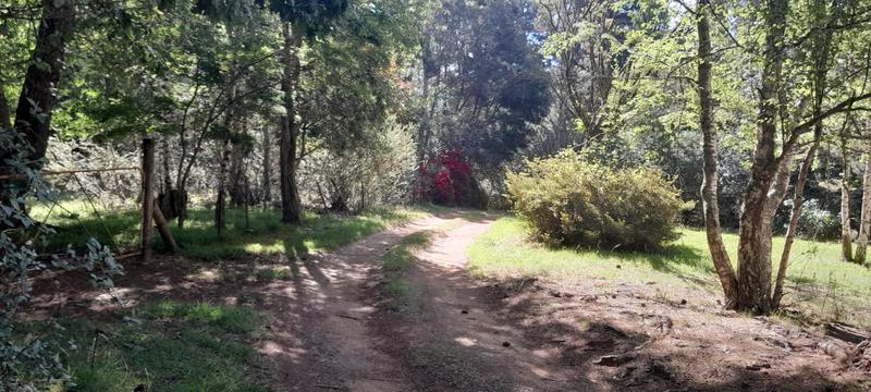 0 Bedroom Property for Sale in Hogsback Eastern Cape